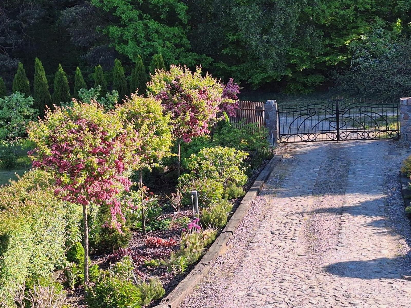 Borowy Zakatek Villa Stara Kiszewa Exterior foto